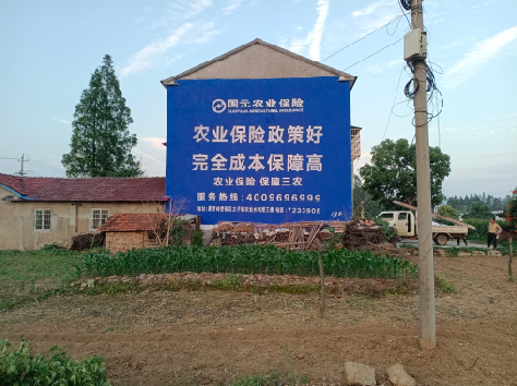 师宗墙体广告为何受追捧?